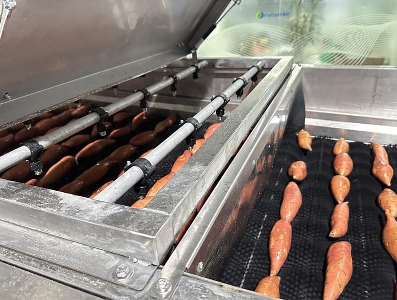 images/1704785314283fstsort Línea de procesamiento de batata.jpg